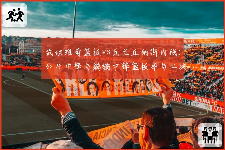 武切维奇篮板vs瓦兰丘纳斯内线:公牛中锋与鹈鹕中锋篮板率与二次进攻对比