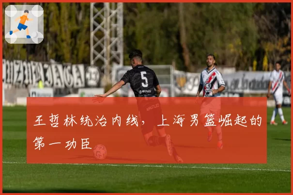 王哲林统治内线,上海男篮崛起的第一功臣