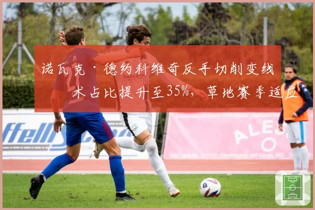 诺瓦克·德约科维奇反手切削变线战术占比提升至35%，草地赛季适应性调整明显