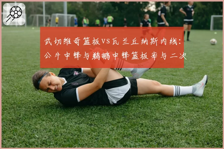 武切维奇篮板vs瓦兰丘纳斯内线:公牛中锋与鹈鹕中锋篮板率与二次进攻对比