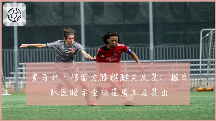 贾马尔·穆雷左膝髌腱炎反复：掘金队医暗示全明星周末后复出